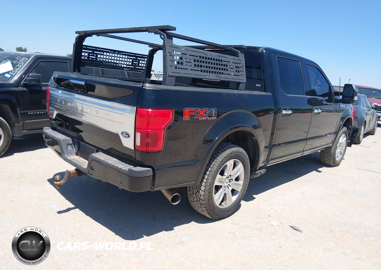 2018 Ford F-150 Platinum VIN:1FTFW1E1XJFD52498 - 4