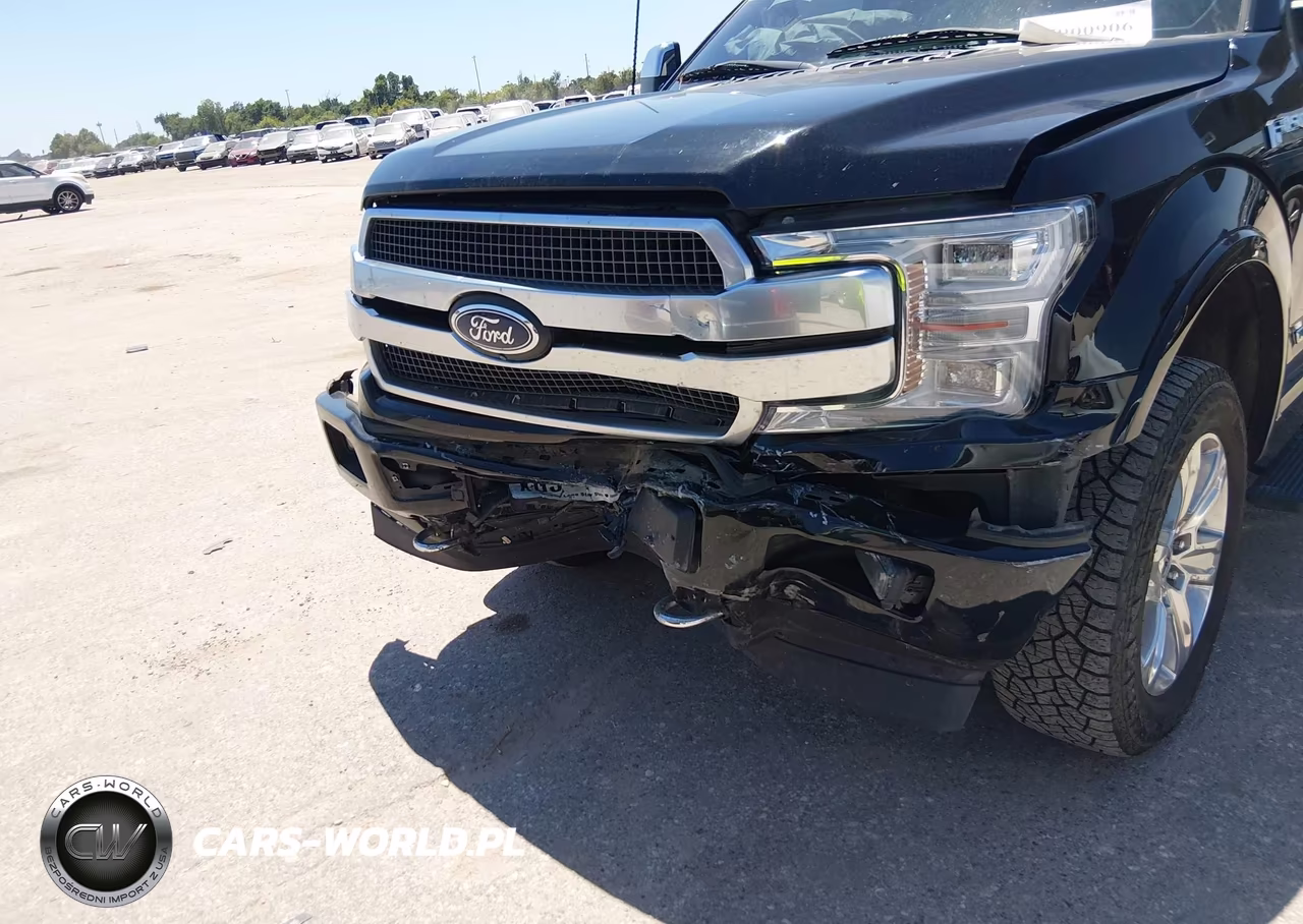 2018 Ford F-150 Platinum VIN:1FTFW1E1XJFD52498 - 6
