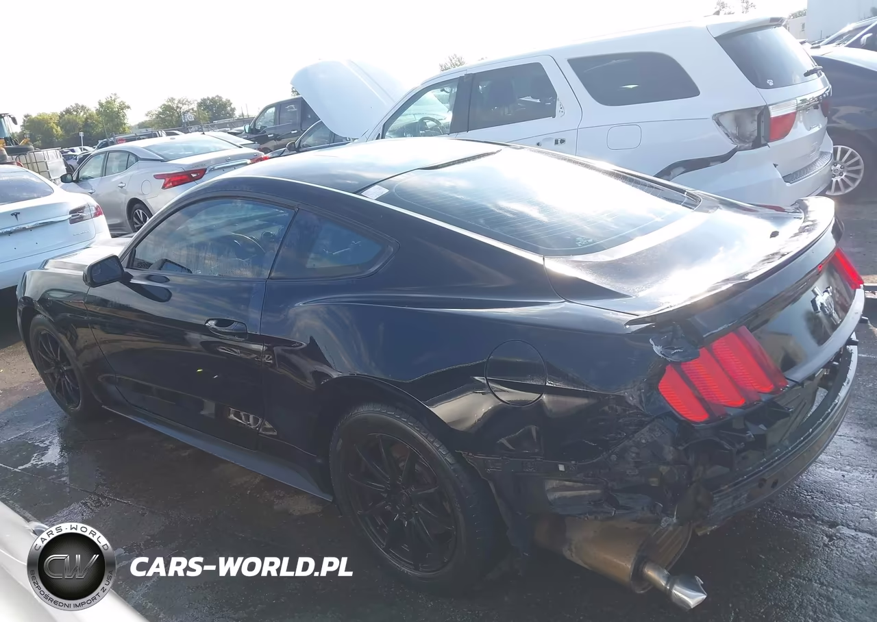 2016 Ford Mustang V6 VIN:1FA6P8AM6G5215018 - 14