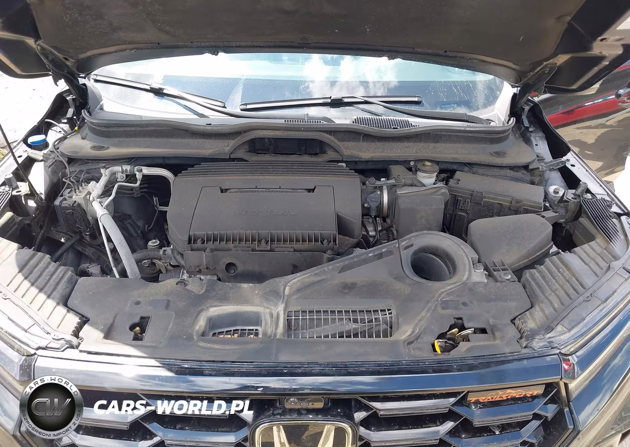 2024 Honda Pilot Trailsport VIN:5FNYG1H63RB021422 - 10