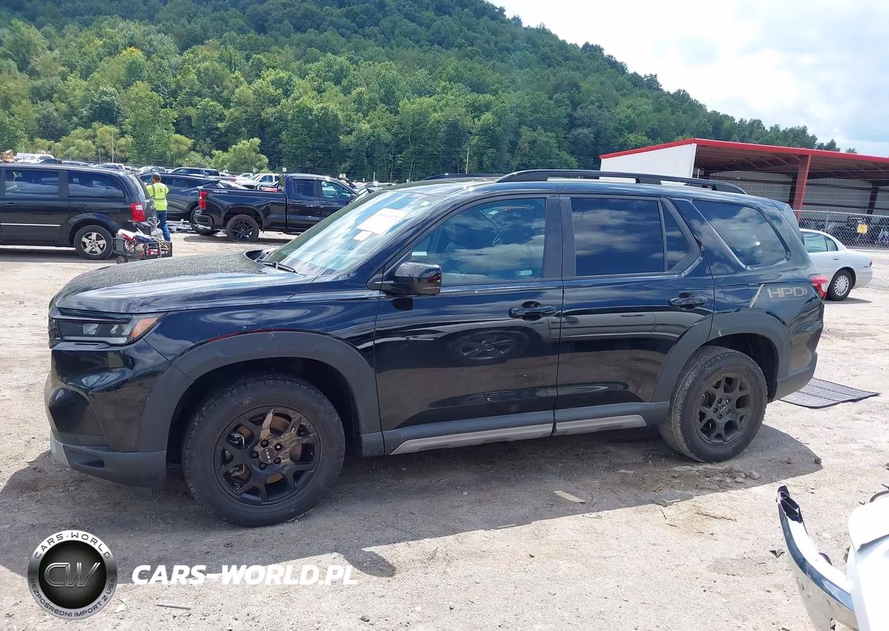 2024 Honda Pilot Trailsport VIN:5FNYG1H63RB021422 - 13