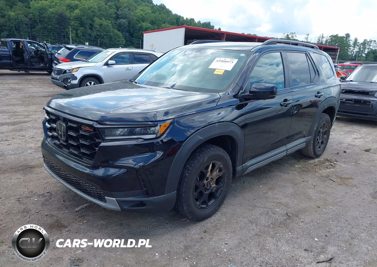 2024 Honda Pilot Trailsport VIN:5FNYG1H63RB021422 - 2