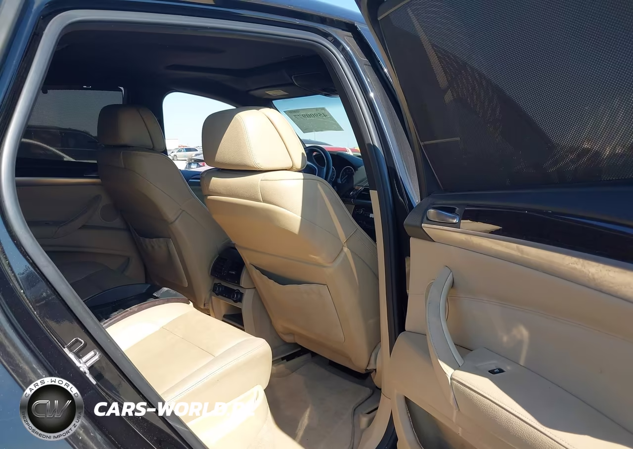 2011 BMW X6 xDrive35I VIN:5UXFG2C56BLX05815 - 8