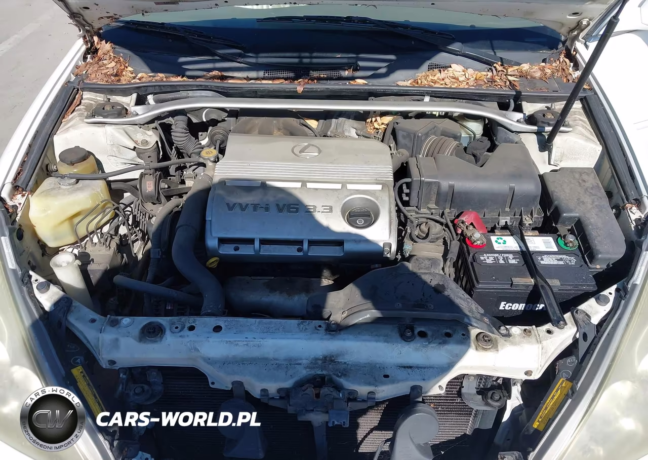 2004 Lexus Es 330 VIN:JTHBA30G045024231 - 10