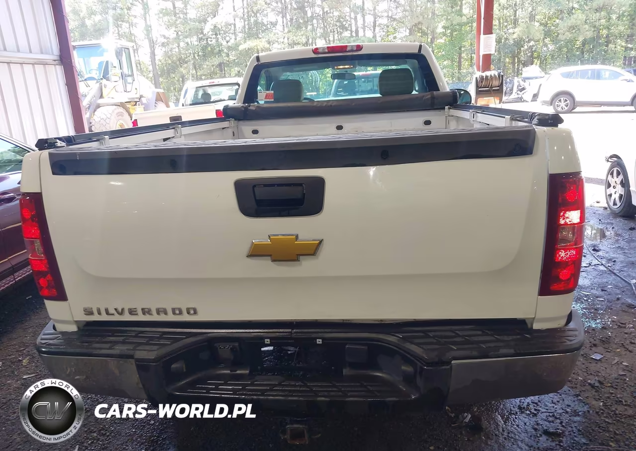 2012 Chevrolet Silverado 1500 Work Truck VIN:1GCNCPEXXCZ310524 - 16