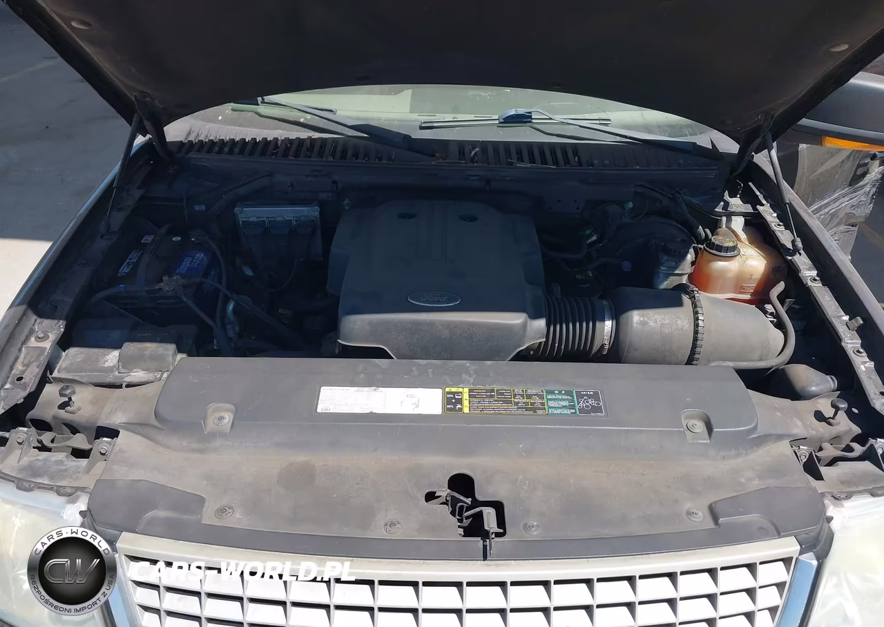 2004 Ford Expedition Eddie Bauer VIN:1FMEU17W64LA84741 - 10