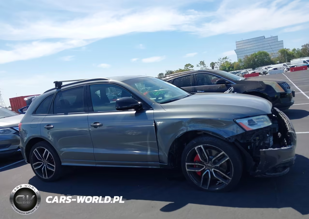 2017 Audi Sq5 3.0T Premium Plus VIN:WA1CCAFP1HA075563 - 13