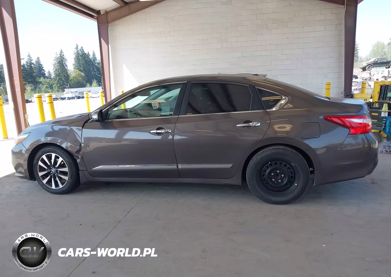 2016 Nissan Altima 2.5 Sv VIN:1N4AL3AP0GC114393 - 14