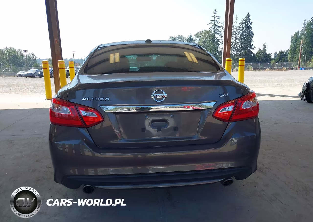 2016 Nissan Altima 2.5 Sv VIN:1N4AL3AP0GC114393 - 16