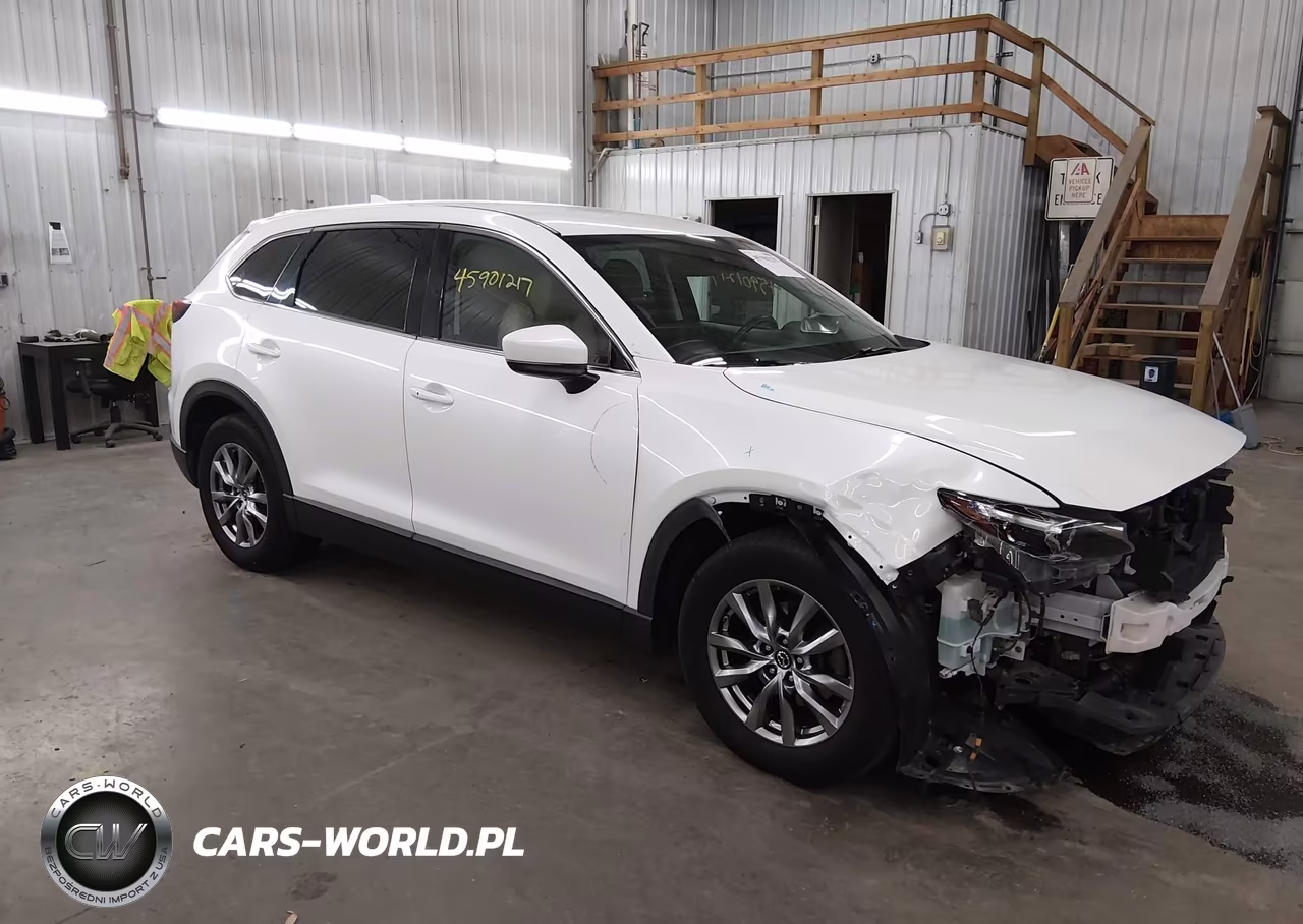 2019 Mazda Cx-9 Touring VIN:JM3TCBCY0K0307826 - 1