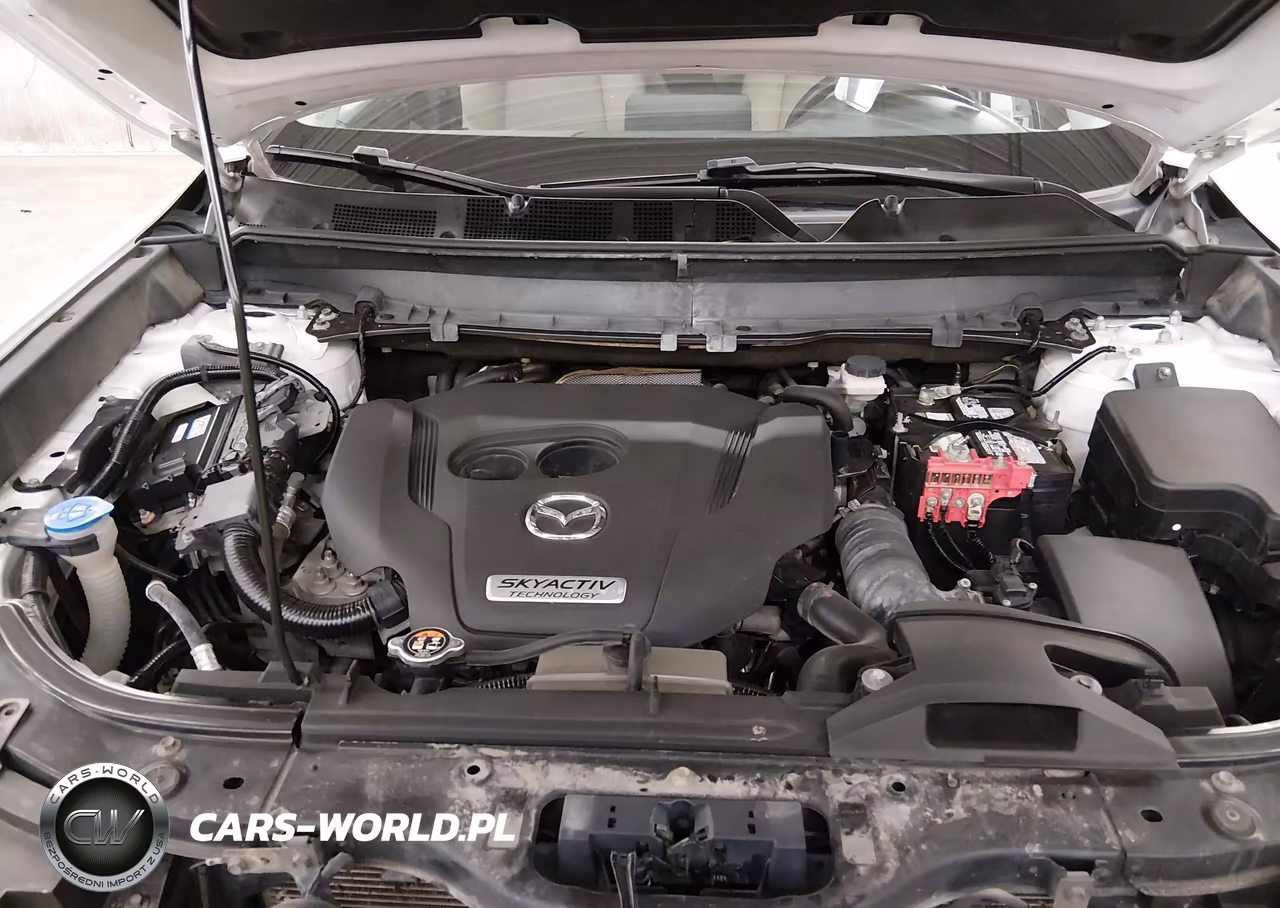 2019 Mazda Cx-9 Touring VIN:JM3TCBCY0K0307826 - 10
