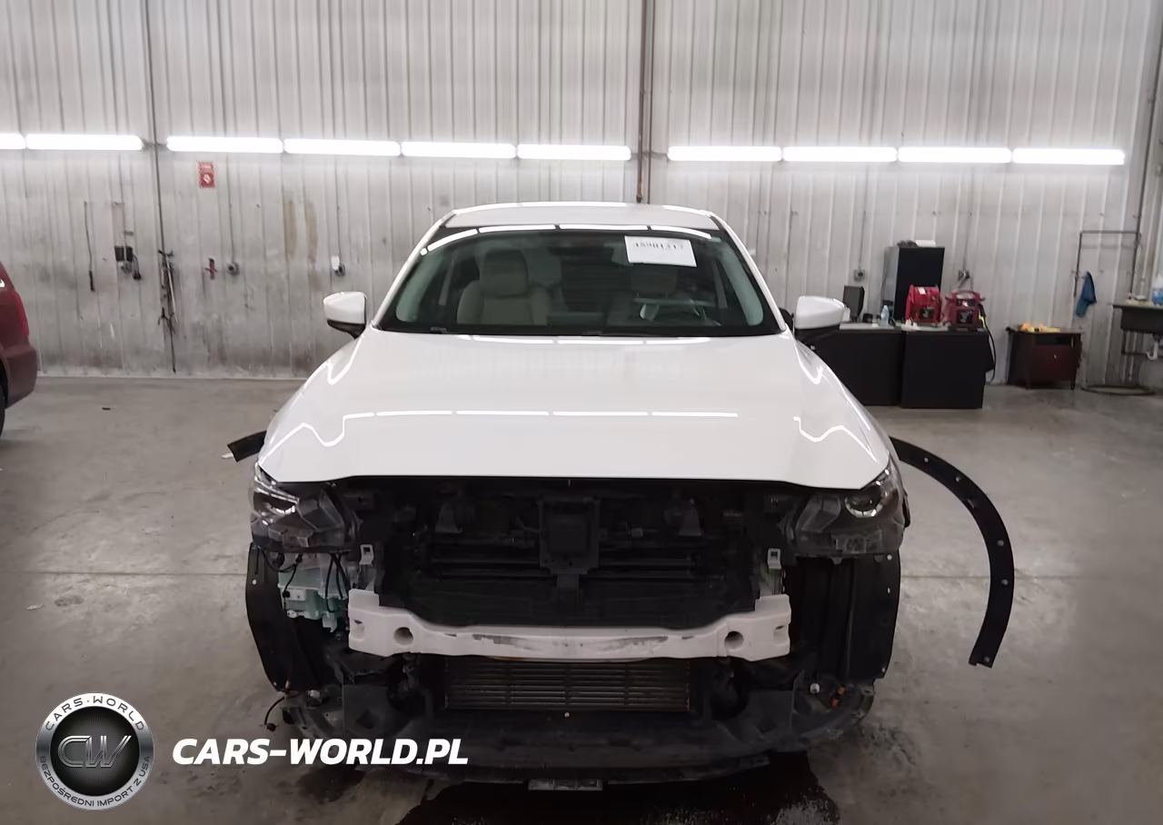 2019 Mazda Cx-9 Touring VIN:JM3TCBCY0K0307826 - 13
