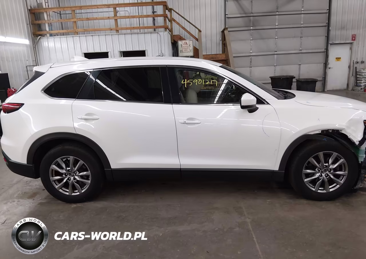 2019 Mazda Cx-9 Touring VIN:JM3TCBCY0K0307826 - 14