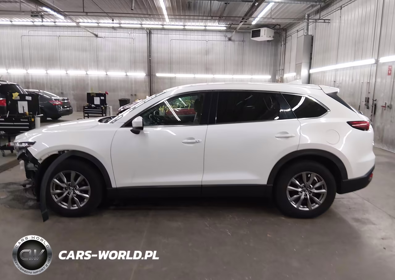 2019 Mazda Cx-9 Touring VIN:JM3TCBCY0K0307826 - 15