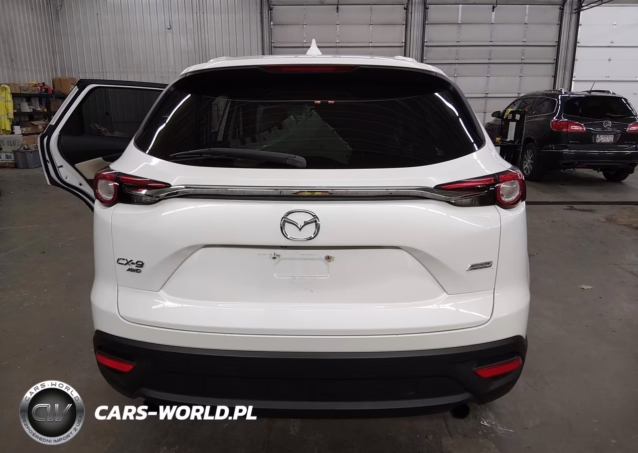 2019 Mazda Cx-9 Touring VIN:JM3TCBCY0K0307826 - 17