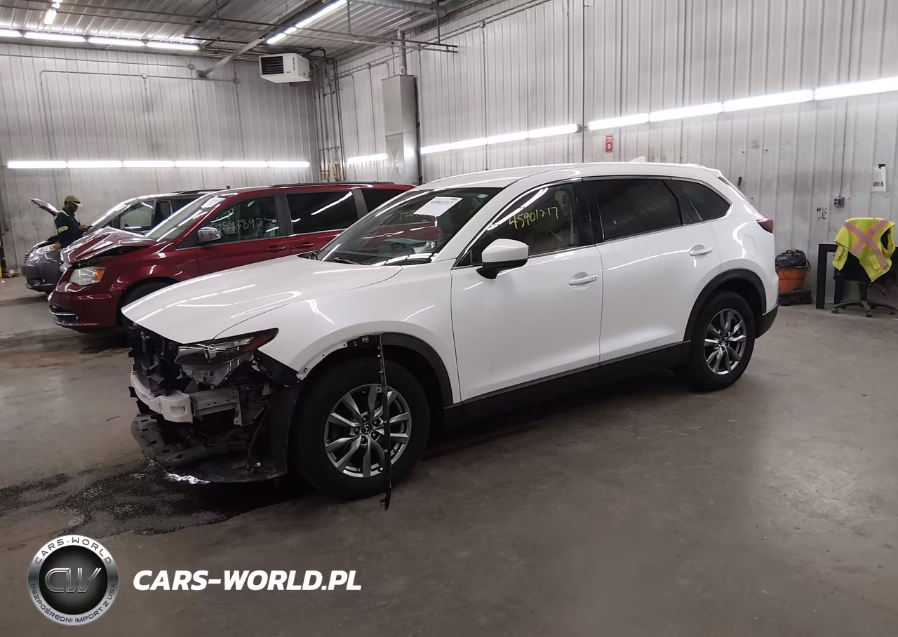 2019 Mazda Cx-9 Touring VIN:JM3TCBCY0K0307826 - 2