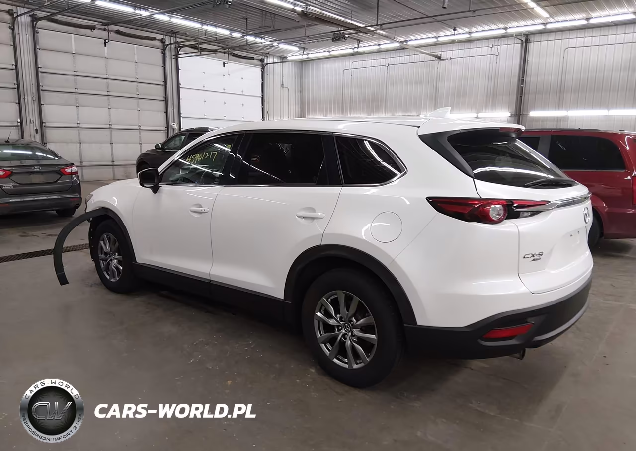 2019 Mazda Cx-9 Touring VIN:JM3TCBCY0K0307826 - 3