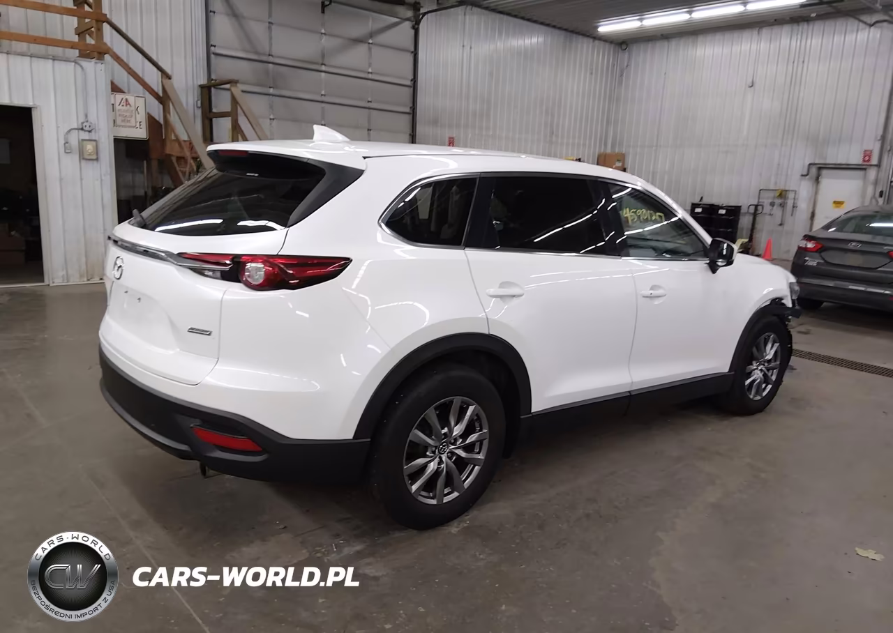 2019 Mazda Cx-9 Touring VIN:JM3TCBCY0K0307826 - 4