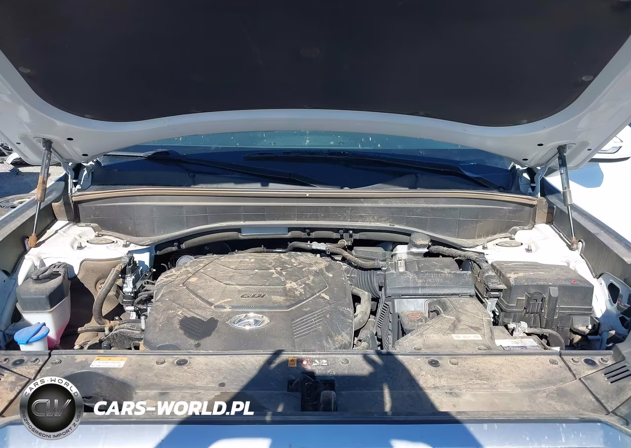 2022 Hyundai Palisade Sel VIN:KM8R4DHE9NU488489 - 10