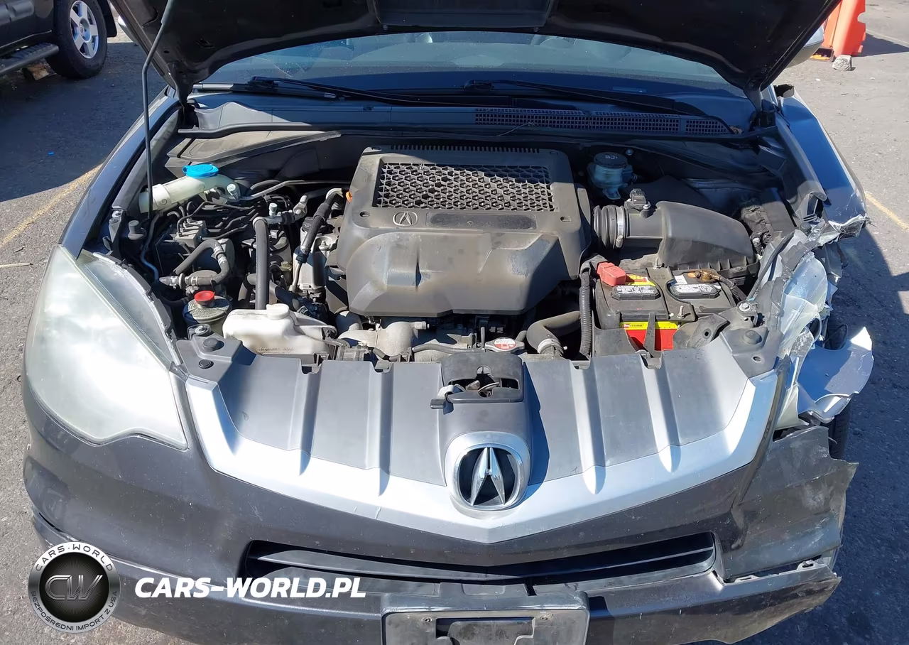 2009 Acura Rdx VIN:5J8TB18599A007258 - 10