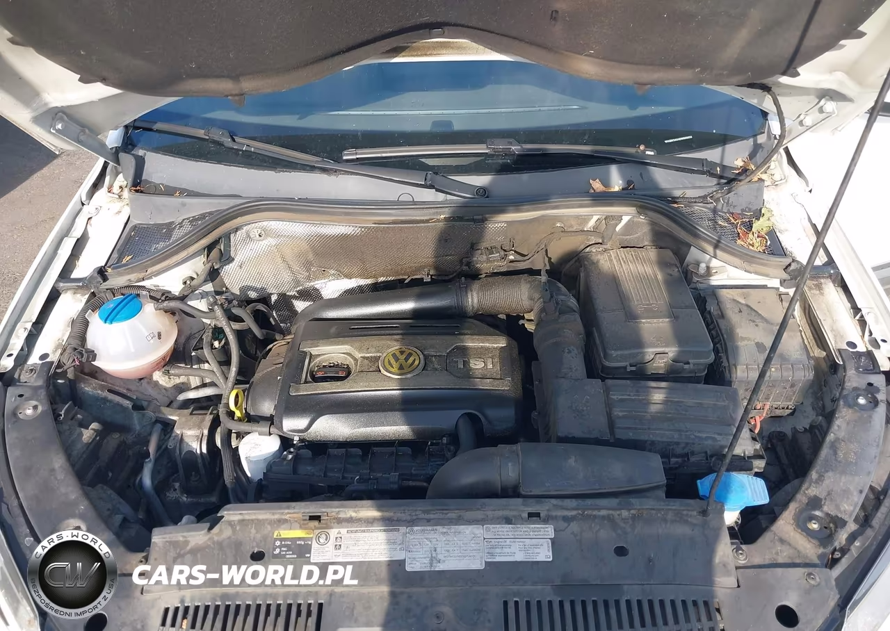 2013 Volkswagen Tiguan Se VIN:WVGBV3AX4DW609856 - 10