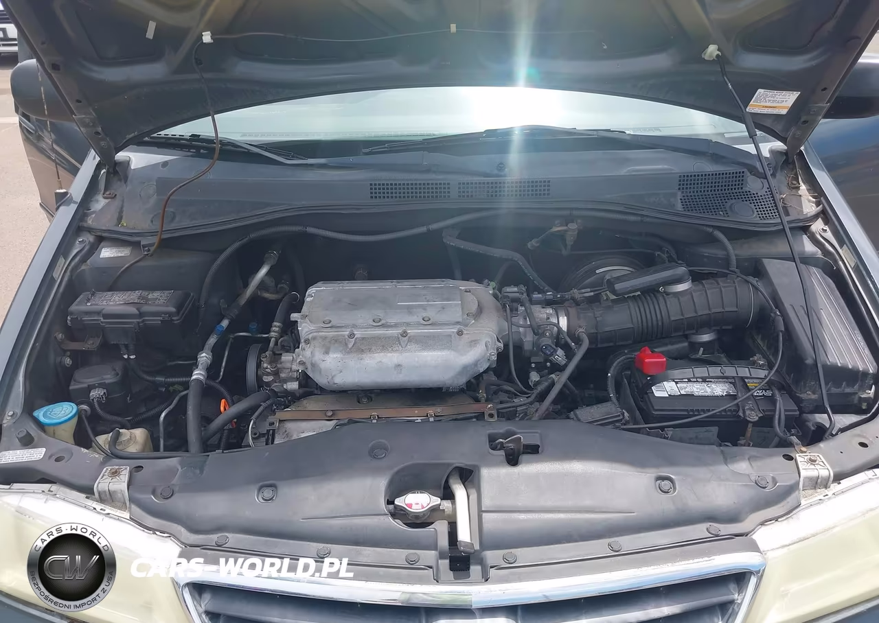 2004 Honda Odyssey Lx VIN:5FNRL18554B059847 - 10