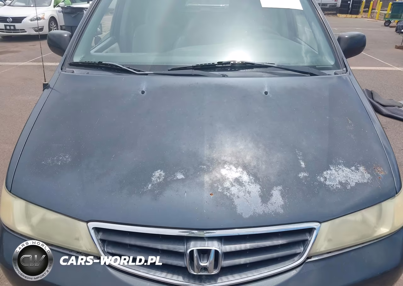 2004 Honda Odyssey Lx VIN:5FNRL18554B059847 - 13