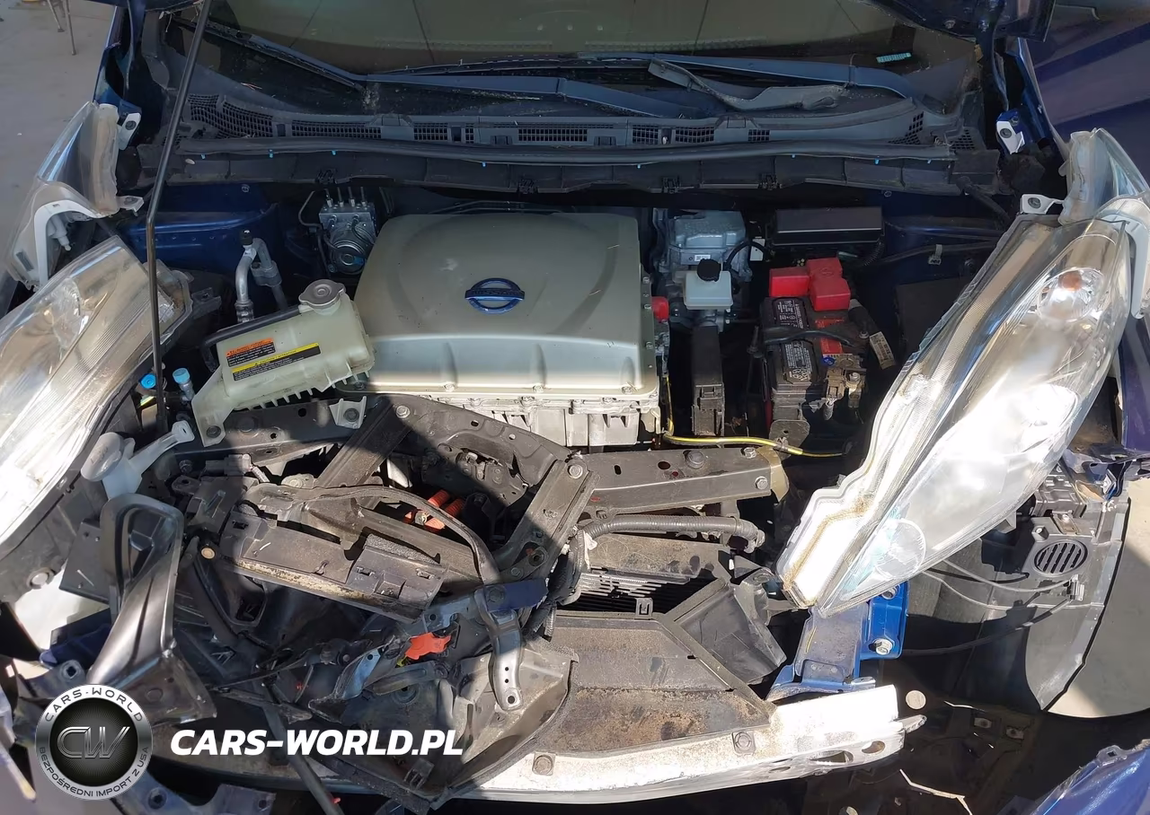 2016 Nissan Leaf S VIN:1N4AZ0CP6GC300112 - 10