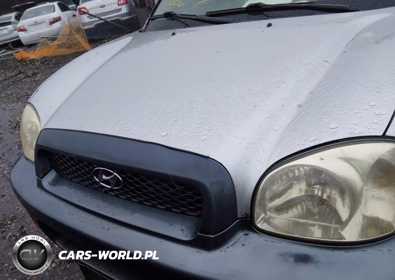 2004 Hyundai Santa Fe Gls VIN:KM8SC73D64U606145 - 10