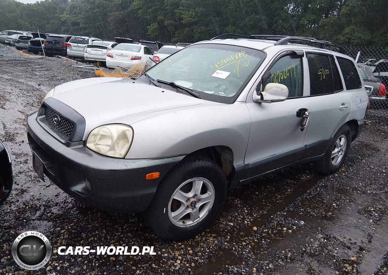 2004 Hyundai Santa Fe Gls VIN:KM8SC73D64U606145 - 2