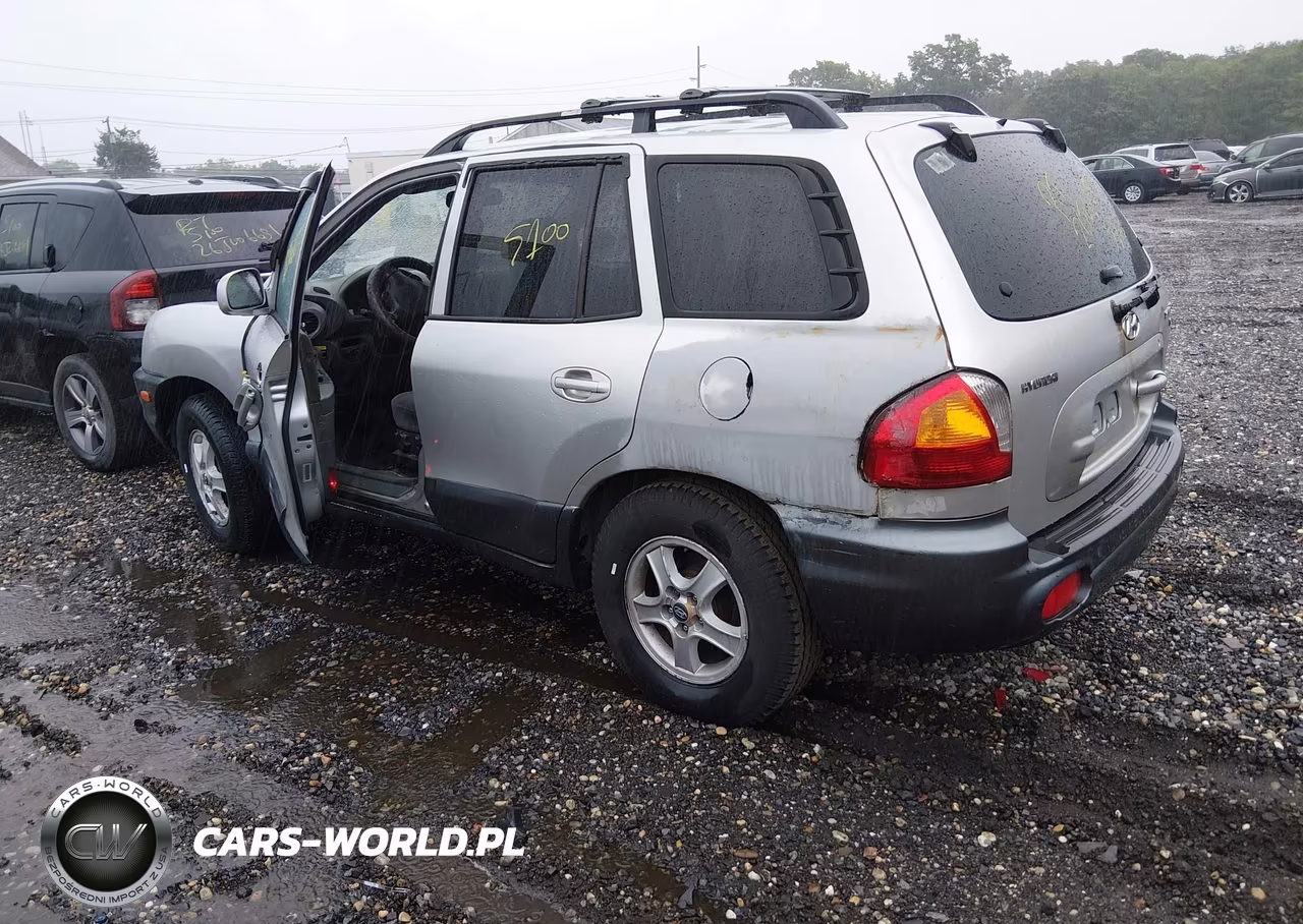 2004 Hyundai Santa Fe Gls VIN:KM8SC73D64U606145 - 3
