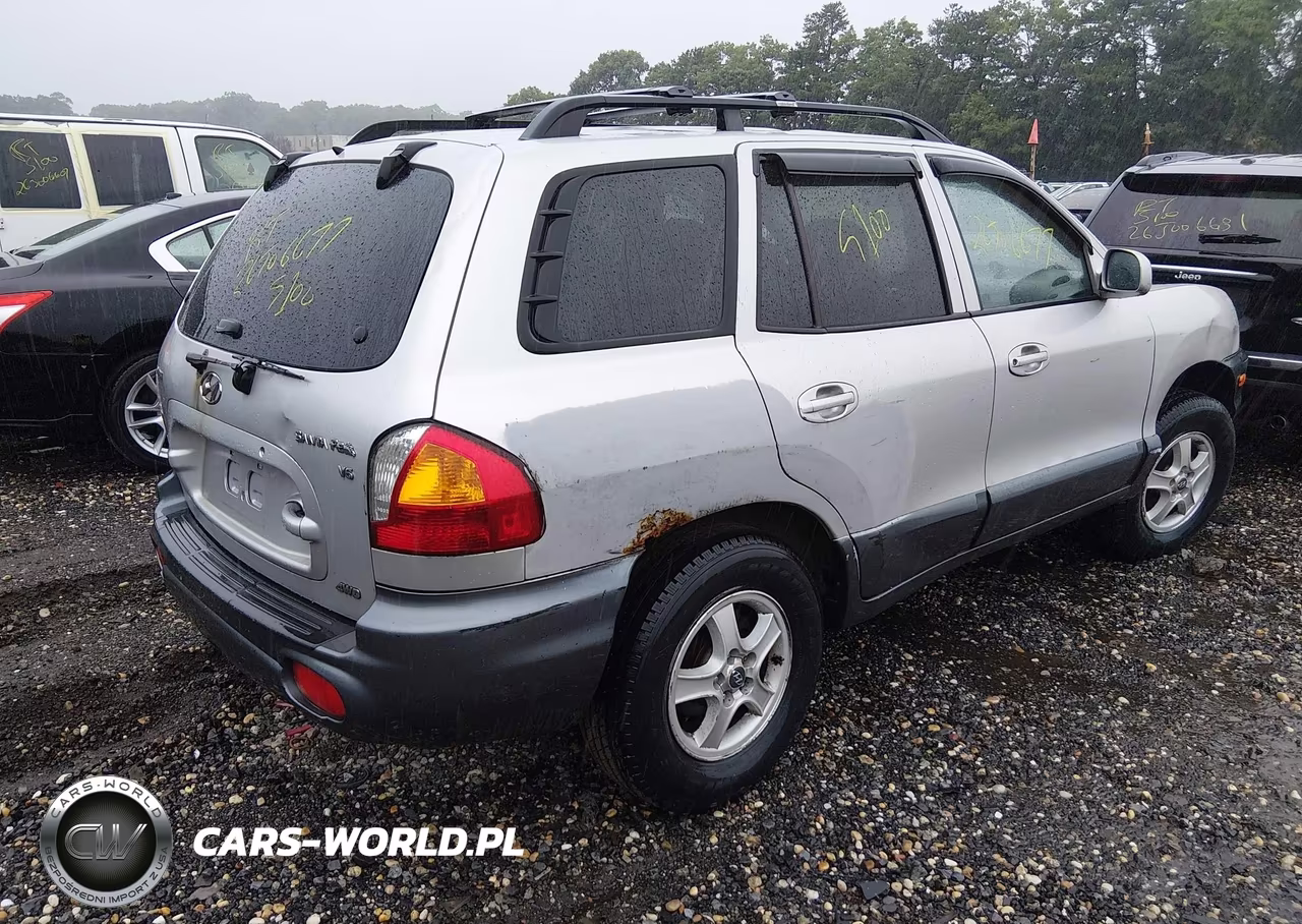 2004 Hyundai Santa Fe Gls VIN:KM8SC73D64U606145 - 4