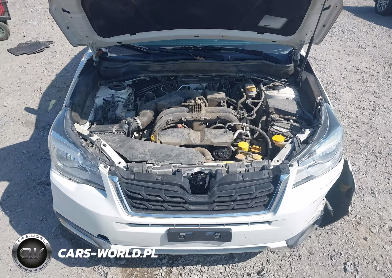 2018 Subaru Forester 2.5I Premium VIN:JF2SJAGC7JH408849 - 10