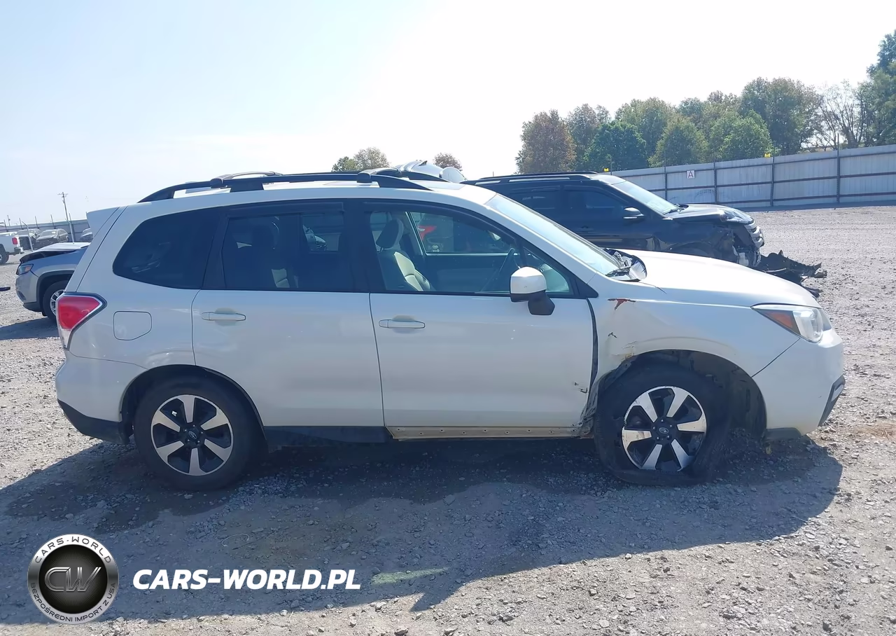 2018 Subaru Forester 2.5I Premium VIN:JF2SJAGC7JH408849 - 13