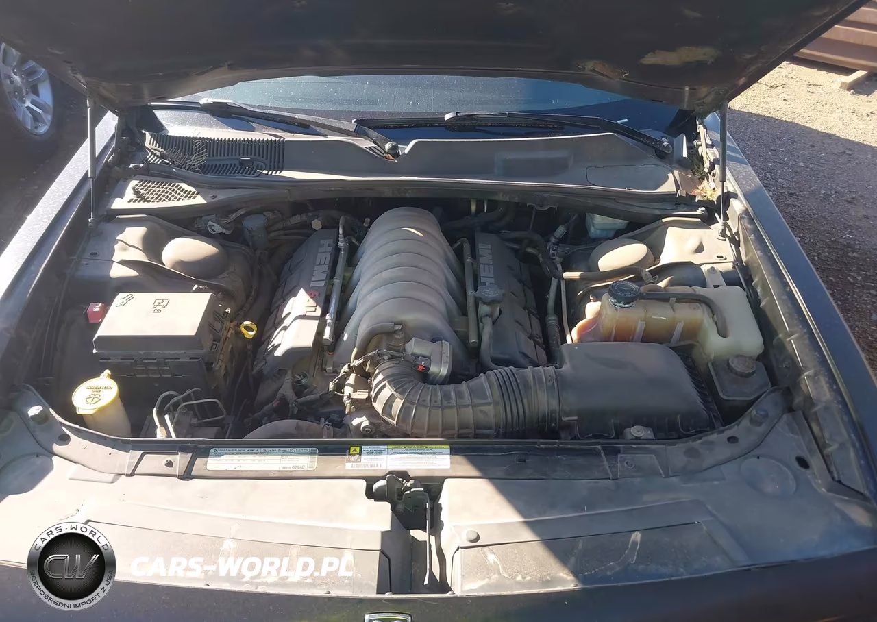 2010 Dodge Challenger Srt8 VIN:2B3CJ7DW7AH109569 - 10