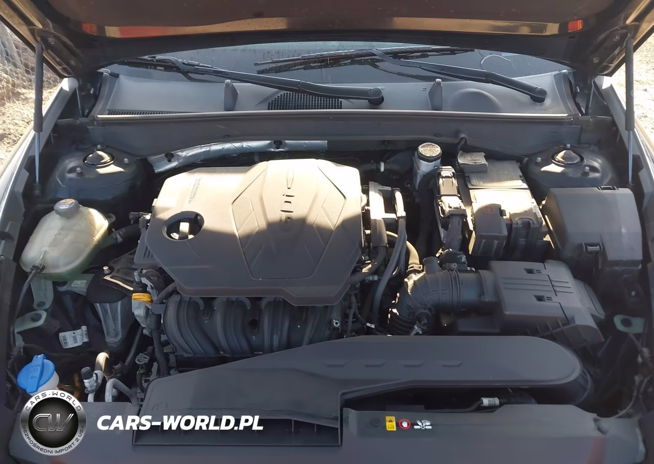 2020 Hyundai Sonata Se VIN:5NPEG4JA8LH053830 - 10