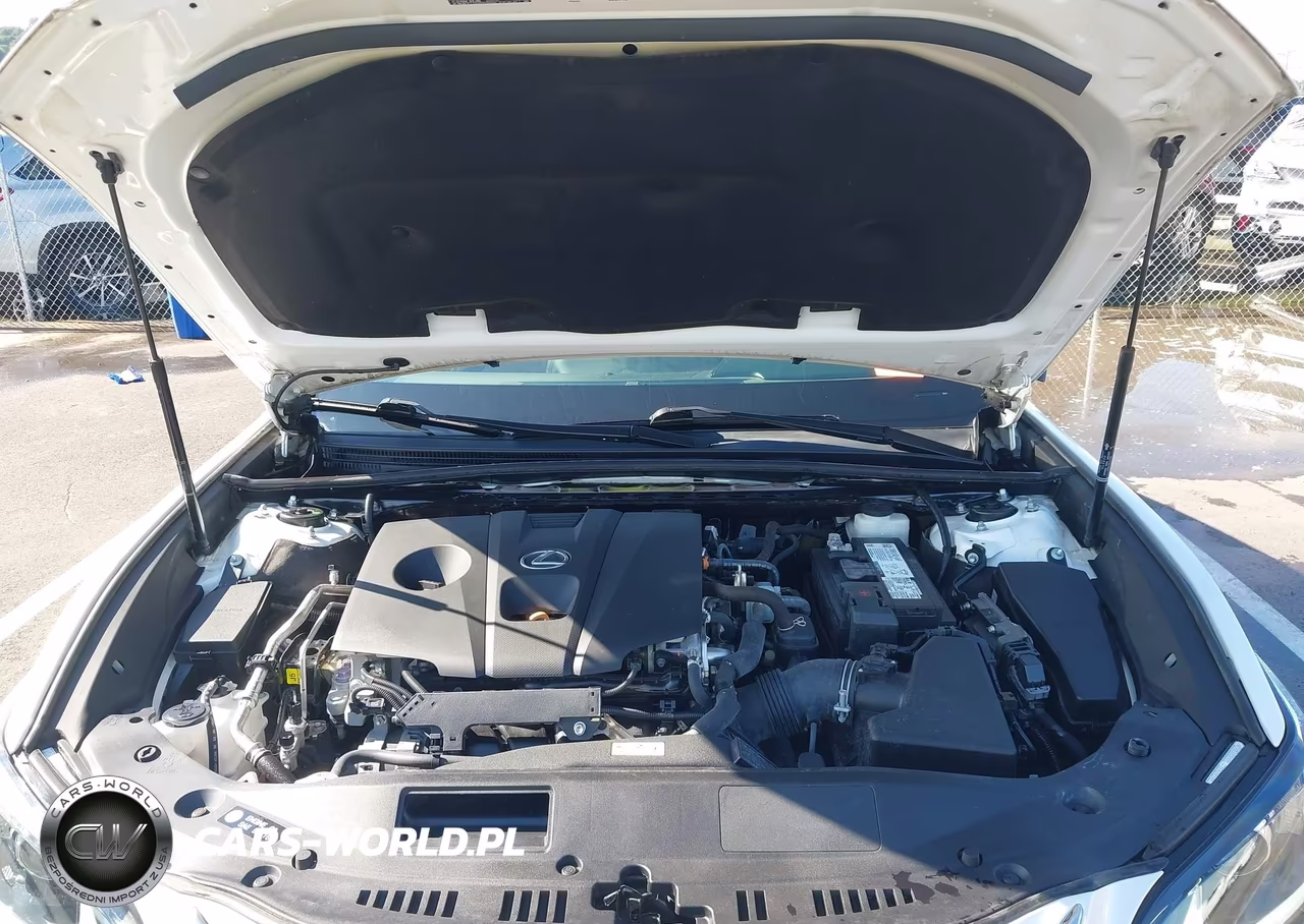 2021 Lexus Es 250 VIN:58AD11D17MU002970 - 10