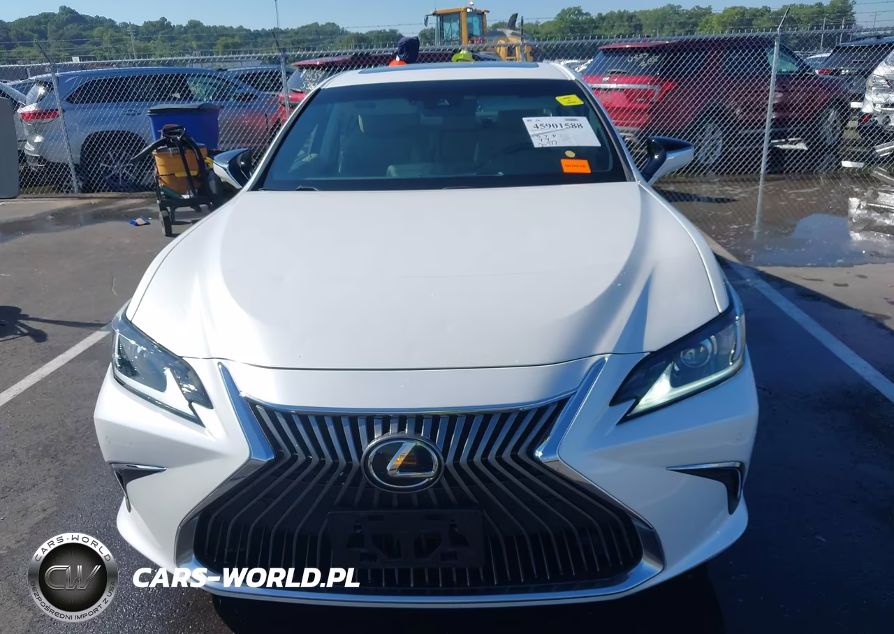 2021 Lexus Es 250 VIN:58AD11D17MU002970 - 12