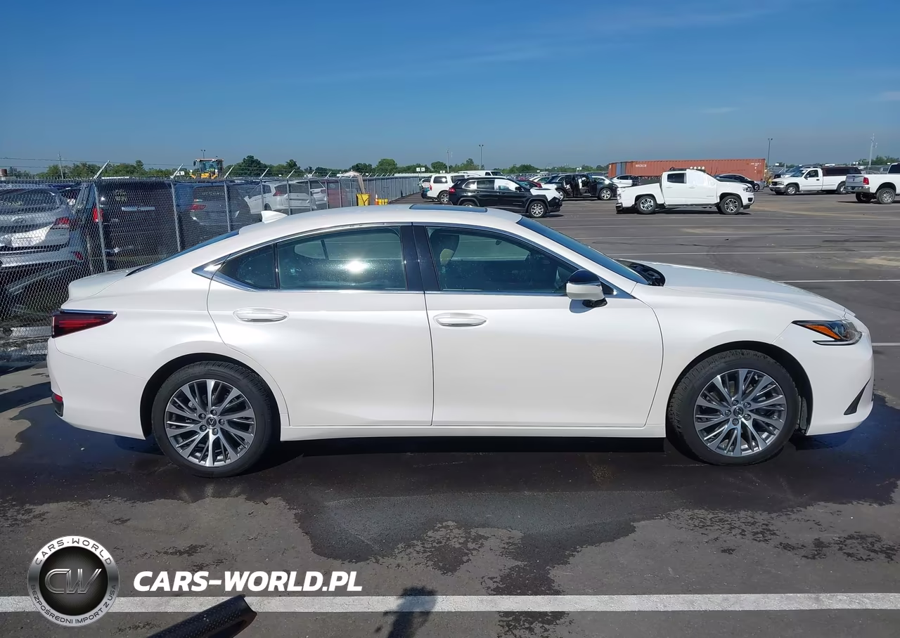 2021 Lexus Es 250 VIN:58AD11D17MU002970 - 13