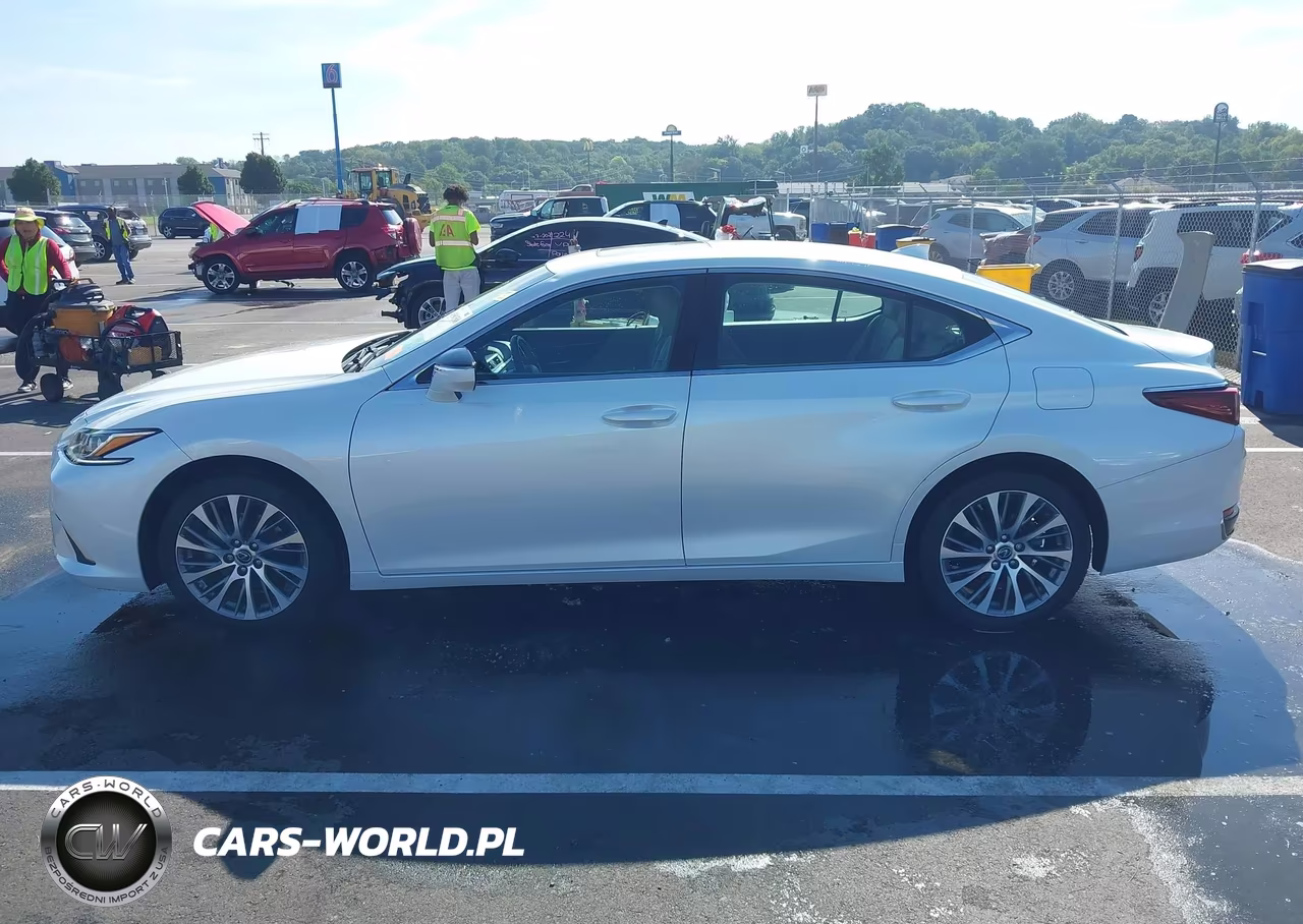 2021 Lexus Es 250 VIN:58AD11D17MU002970 - 14