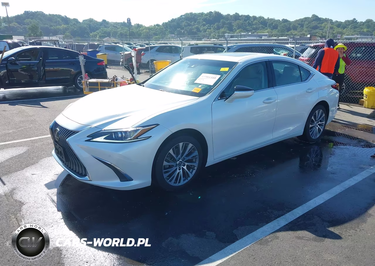 2021 Lexus Es 250 VIN:58AD11D17MU002970 - 2