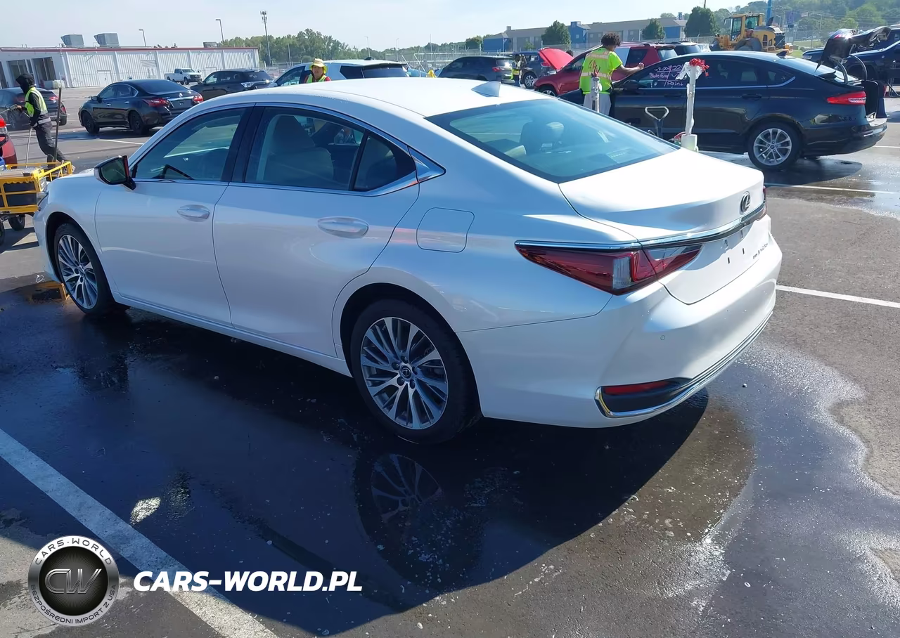 2021 Lexus Es 250 VIN:58AD11D17MU002970 - 3