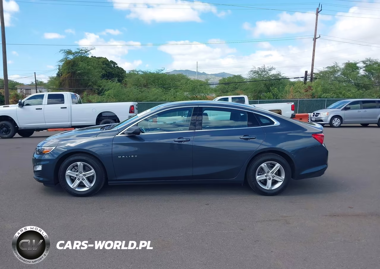 2020 Chevrolet Malibu Fwd 1Fl VIN:1G1ZC5ST6LF133696 - 14