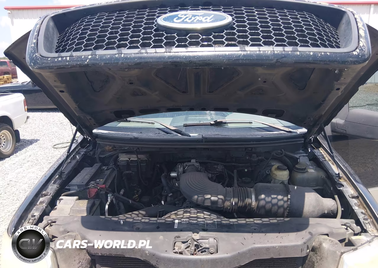 2005 Ford F-150 Stx-Xl-Xlt VIN:1FTRX12W45NA71402 - 10