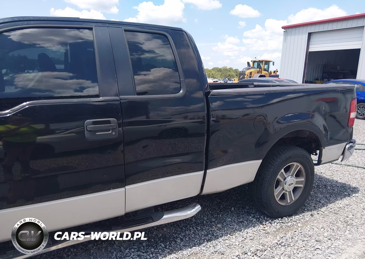 2005 Ford F-150 Stx-Xl-Xlt VIN:1FTRX12W45NA71402 - 6