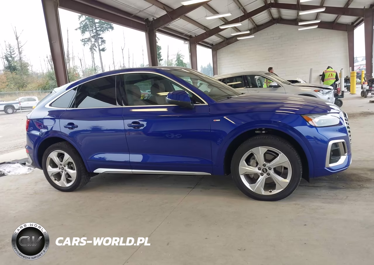 2021 Audi Q5 Sportback Premium Plus 45 Tfsi Quattro S Tronic VIN:WA15AAFY7M2125247 - 13