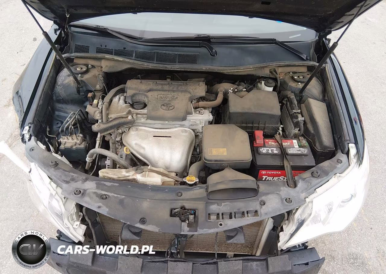 2012 Toyota Camry Xle VIN:4T4BF1FKXCR242895 - 10