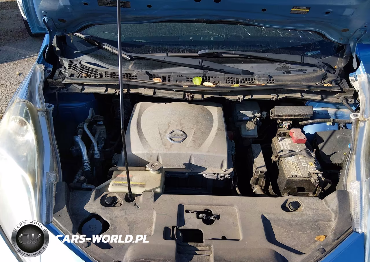 2013 Nissan Leaf Sv VIN:1N4AZ0CP1DC402817 - 10