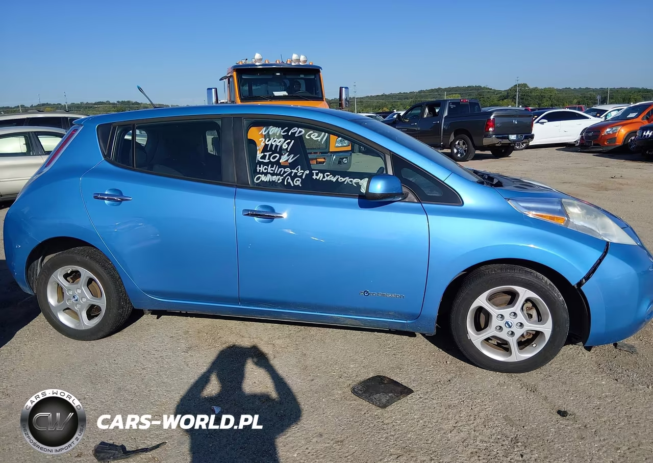 2013 Nissan Leaf Sv VIN:1N4AZ0CP1DC402817 - 13