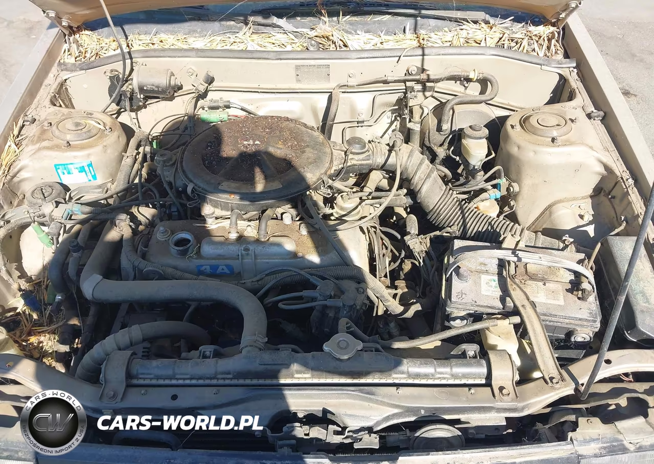 1986 Toyota Corolla Dlx VIN:JT2AE82E2G3313985 - 10